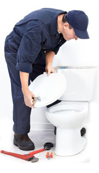 expert toilet plumber